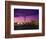 Toronto Skyline at Night, Canada-Jim Schwabel-Framed Photographic Print