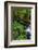 Torq Creek in Killarney National Park-Chuck Haney-Framed Photographic Print