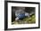 Torquate Lizard (Sceloporus Torquatus) Male, Milpa Alta Forest, Mexico, August-Claudio Contreras Koob-Framed Photographic Print