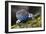 Torquate Lizard (Sceloporus Torquatus) Male, Milpa Alta Forest, Mexico, August-Claudio Contreras Koob-Framed Photographic Print