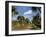 Torquay Gardens, Torquay, South Devon, England, Uk-Roy Rainford-Framed Photographic Print