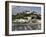 Torquay, South Devon, England, Uk-Roy Rainford-Framed Photographic Print