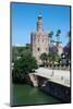 Torre del Oro, Seville, Andalusia, Spain, Europe-Ethel Davies-Mounted Photographic Print