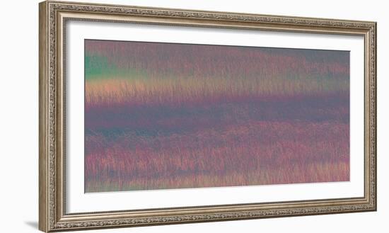 Torres, Chile-Art Wolfe-Framed Photographic Print