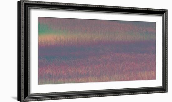 Torres, Chile-Art Wolfe-Framed Photographic Print