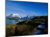 Torres Del Paine National Park, Chile-null-Mounted Photographic Print