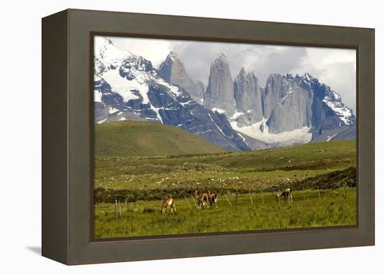 Torres Del Paine-Tony-Framed Premier Image Canvas