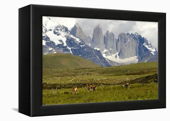 Torres Del Paine-Tony-Framed Premier Image Canvas