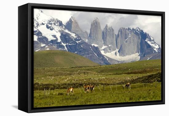 Torres Del Paine-Tony-Framed Premier Image Canvas