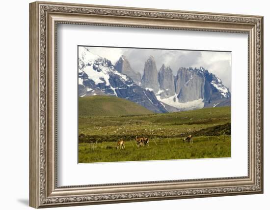 Torres Del Paine-Tony-Framed Photographic Print