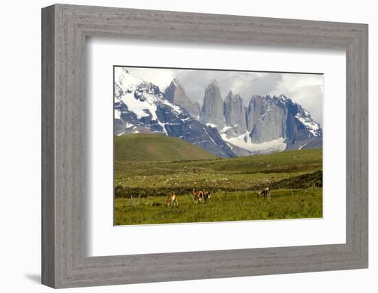 Torres Del Paine-Tony-Framed Photographic Print