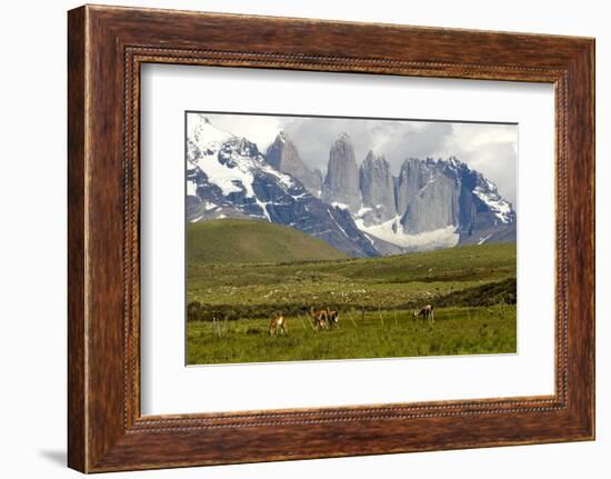 Torres Del Paine-Tony-Framed Photographic Print