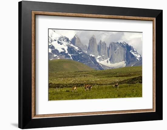 Torres Del Paine-Tony-Framed Photographic Print