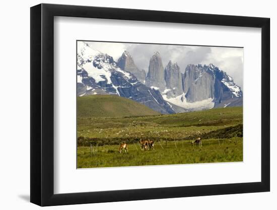 Torres Del Paine-Tony-Framed Photographic Print