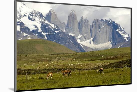Torres Del Paine-Tony-Mounted Photographic Print
