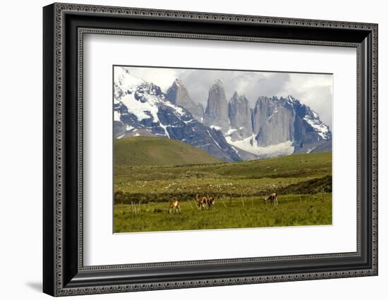 Torres Del Paine-Tony-Framed Photographic Print