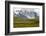 Torres Del Paine-Tony-Framed Photographic Print