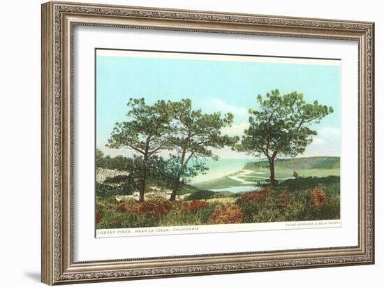 Torrey Pines, San Diego County, California-null-Framed Premium Giclee Print