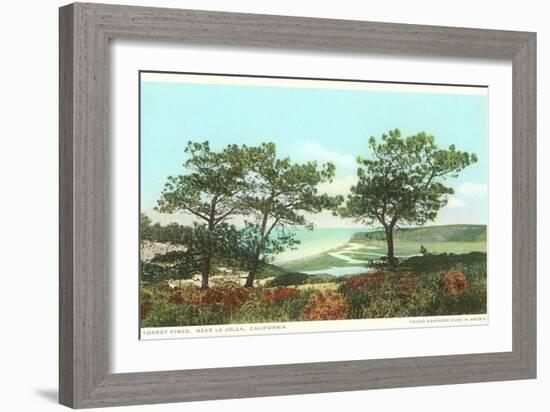 Torrey Pines, San Diego County, California-null-Framed Premium Giclee Print