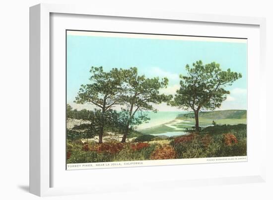 Torrey Pines, San Diego County, California-null-Framed Premium Giclee Print