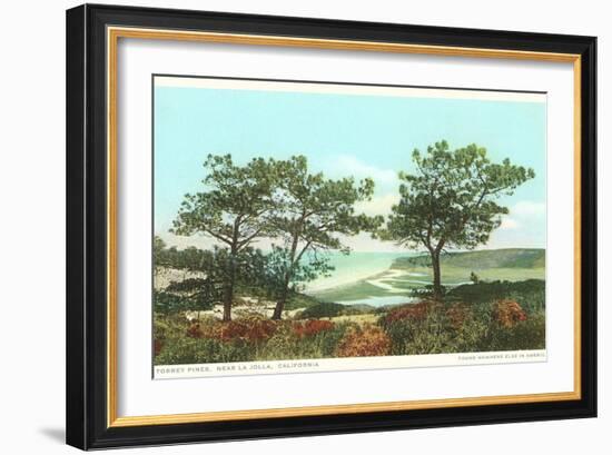 Torrey Pines, San Diego County, California-null-Framed Premium Giclee Print