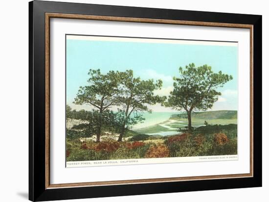 Torrey Pines, San Diego County, California-null-Framed Art Print