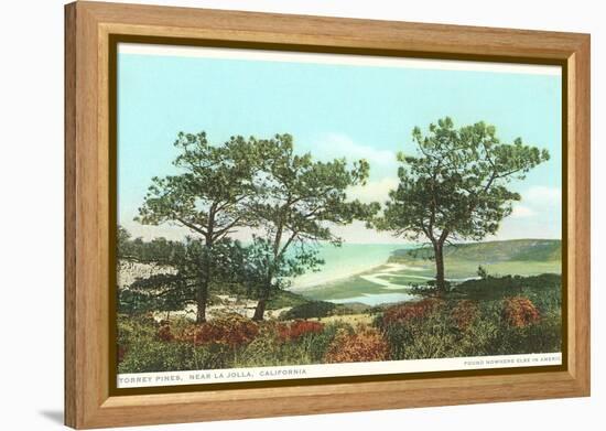 Torrey Pines, San Diego County, California-null-Framed Stretched Canvas