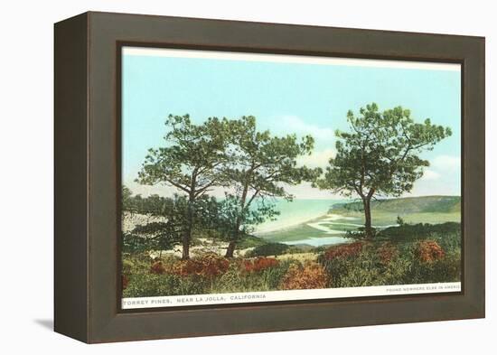 Torrey Pines, San Diego County, California-null-Framed Stretched Canvas