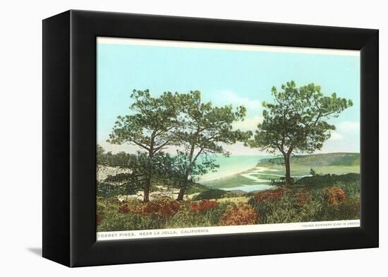 Torrey Pines, San Diego County, California-null-Framed Stretched Canvas