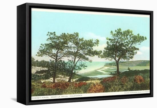 Torrey Pines, San Diego County, California-null-Framed Stretched Canvas