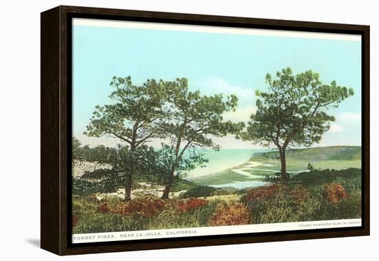 Torrey Pines, San Diego County, California-null-Framed Stretched Canvas