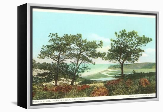 Torrey Pines, San Diego County, California-null-Framed Stretched Canvas