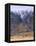 Torridon,Glen Torridon, Wester Ross, Highlands, Scotland-Neale Clarke-Framed Premier Image Canvas