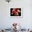 Torso of a Male Boxer Wearing Boxing Gloves and a Belt-null-Framed Photographic Print displayed on a wall