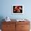 Torso of a Male Boxer Wearing Boxing Gloves and a Belt-null-Framed Photographic Print displayed on a wall