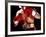 Torso of a Male Boxer Wearing Boxing Gloves and a Belt-null-Framed Photographic Print