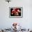 Torso of a Male Boxer Wearing Boxing Gloves and a Belt-null-Framed Photographic Print displayed on a wall