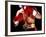 Torso of a Male Boxer Wearing Boxing Gloves and a Belt-null-Framed Photographic Print