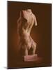 Torso of a Young Woman, 1909 (Bronze)-Auguste Rodin-Mounted Giclee Print