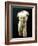 Torso of an Athelete, 1st - 2nd Century Ad-null-Framed Photographic Print