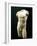 Torso of an Athelete, 1st - 2nd Century Ad-null-Framed Photographic Print