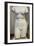 Torso of Aphrodite, 2nd Century-null-Framed Photographic Print