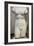 Torso of Aphrodite, 2nd Century-null-Framed Photographic Print