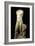 Torso of Apollo (Marble)-Roman-Framed Giclee Print