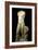 Torso of Apollo (Marble)-Roman-Framed Giclee Print