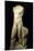 Torso of Apollo (Marble)-Roman-Mounted Giclee Print