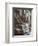 Torso of marble statue from the Capitoline Hill, Italy-Werner Forman-Framed Giclee Print