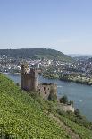 Rüdesheim am Rhein, View to Brömserburg / Niederburg (castle)-Torsten Krüger-Framed Photographic Print