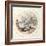 Tortoise, Early 17th Century-Crispin I De Passe-Framed Giclee Print
