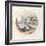 Tortoise, Early 17th Century-Crispin I De Passe-Framed Giclee Print